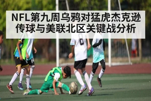 NFL第九周乌鸦对猛虎杰克逊传球与美联北区关键战分析 - kaiyun
